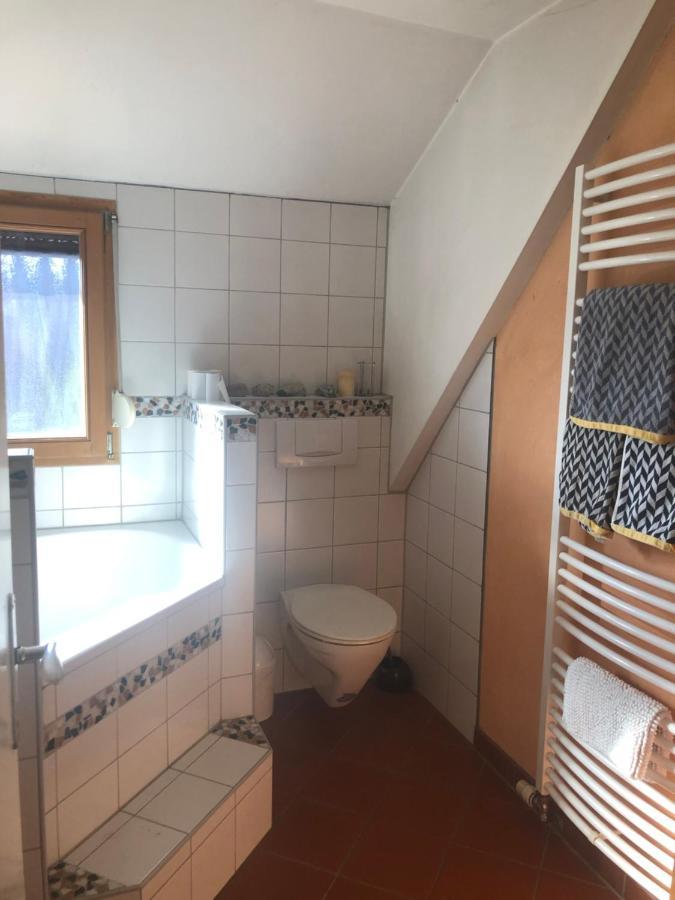 Ferien- Und Messeappartement Apartment